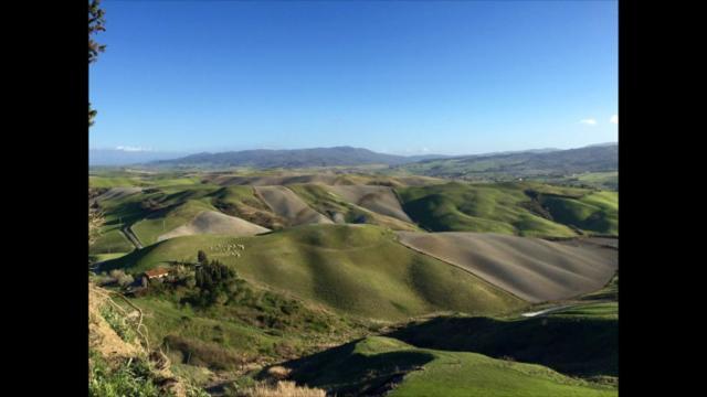 Tuscany & Silence Apt Country View In Terricciola Wifi Esterno foto