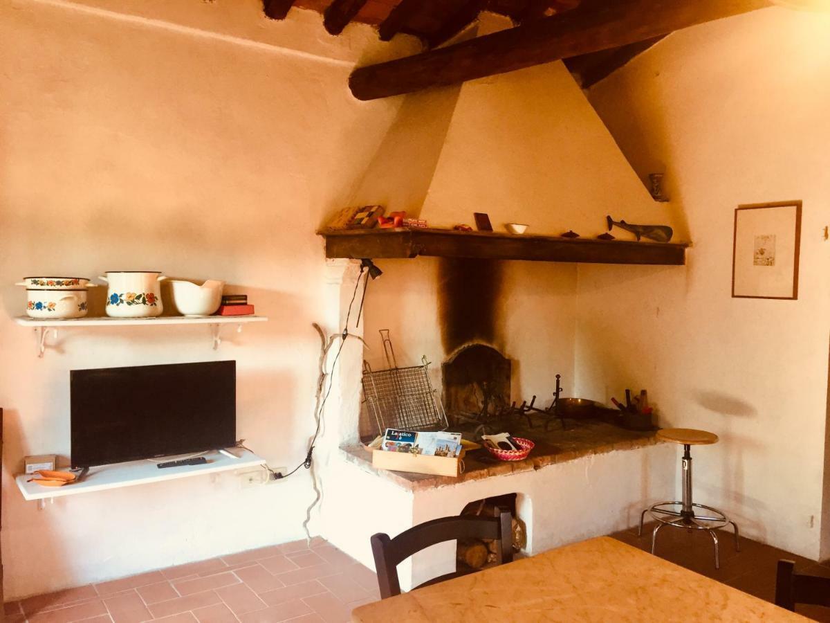 Tuscany & Silence Apt Country View In Terricciola Wifi Esterno foto